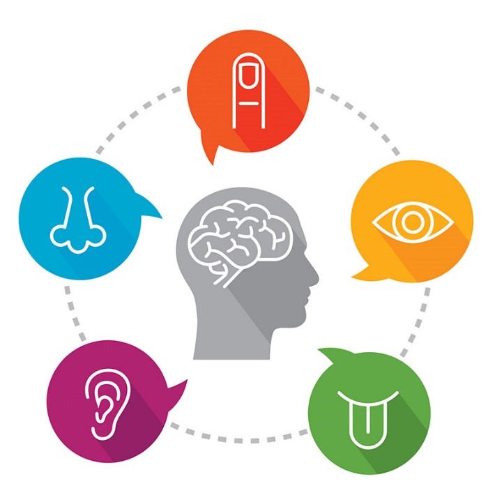 Значение на сензорната интеграция за развитието на&nbsp;детето